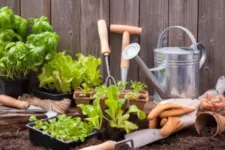 Turn Your Garage into a Functional Plant Nursery